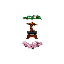 LEGO 10281 TBD-LIFESTYLE-2-2021