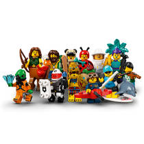 LEGO MF 71029 2021 WAVE 1