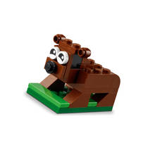LEGO CLASSIC 11015 ROND DE WERELD