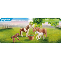 PLAYMOBIL 70682 PONY'S MET VEULENS
