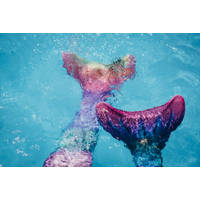 ZEEMEERMIN STAART SET 2 PCS. RAINBOW S