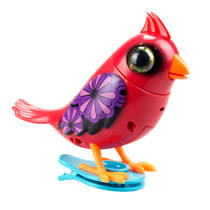 DIGIBIRD CARDINAL 22