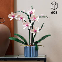LEGO Botanicals orchidee 10311 productafbeelding 8