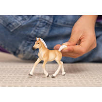 schleich HORSE CLUB Haflingerveulen 13951 productafbeelding 2