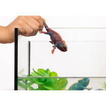 schleich WILD LIFE kameleon 14858 productafbeelding 4