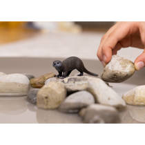 schleich WILD LIFE otter 14865 productafbeelding 2