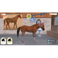 NSW PAARDENWERELD 3: MIJN LEVEN