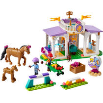 LEGO FRIENDS 41746 PAARDENTRAINING