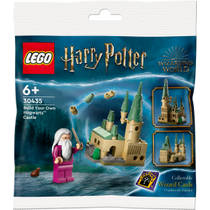 LEGO Harry Potter bouw je eigen Zweinstein kasteel 30435