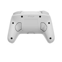 NSW AG WIT WIRELESS CONTROLLER
