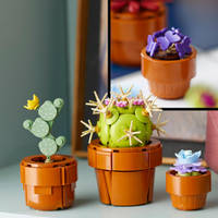 LEGO Botanicals miniplantjes 10329 productafbeelding 6