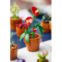 LEGO Botanicals miniplantjes 10329 productafbeelding 5