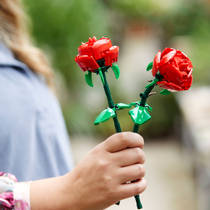 LEGO Botanicals rozen 40460 productafbeelding 8