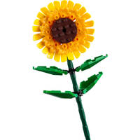 LEGO Botanicals zonnebloemen 40524 productafbeelding 3