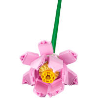 LEGO Bloemen lotusbloemen 40647 Main Image - 2