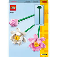 LEGO Botanicals lotusbloemen 40647 productafbeelding 7