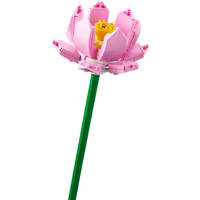 LEGO Botanicals lotusbloemen 40647 productafbeelding 9