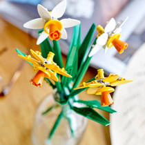 LEGO Botanicals narcissen 40747 productafbeelding 6