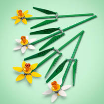 LEGO Botanicals narcissen 40747 productafbeelding 8