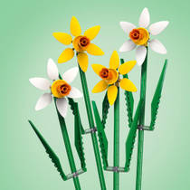 LEGO Botanicals narcissen 40747 productafbeelding 7