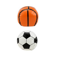Mini voetbal en basketbal in net productafbeelding 3
