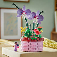 LEGO Disney Encanto Isabela's bloempot 43237 productafbeelding 9