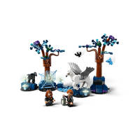 LEGO Harry Potter Verboden Bos magische wezens 76432 Main Image - 3