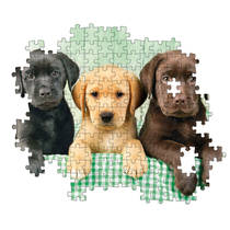 Clementoni puzzel drie labradors - 1000 puzzelstukjes productafbeelding 4