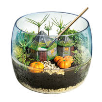Clementoni Harry Potter terrarium productafbeelding 2