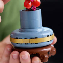 LEGO Botanicals Japanse abrikoos 10369 productafbeelding 4