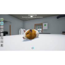Mijn leven dierenarts Nintendo Switch productafbeelding 7