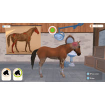 Paardenwereld 3: Mijn leven - code in a box Nintendo Switch productafbeelding 4