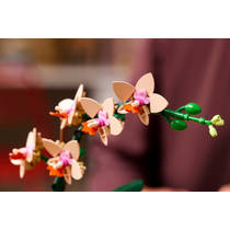 LEGO Botanicals mini orchidee 10343 productafbeelding 3