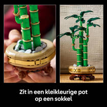 LEGO Botanicals bamboe 10344 productafbeelding 7