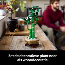 LEGO Botanicals bamboe 10344 productafbeelding 9