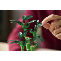 LEGO Botanicals bamboe 10344 productafbeelding 10
