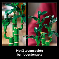 LEGO Botanicals bamboe 10344 productafbeelding 8