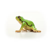 schleich WILD LIFE Europese boomkikker 14882 productafbeelding 4