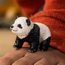 schleich WILD LIFE reuzenpanda-jong 14886 productafbeelding 2