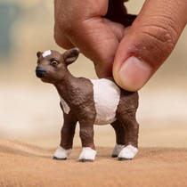schleich FARM WORLD geitenlam 14888 productafbeelding 2
