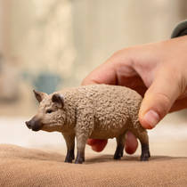schleich FARM WORLD wolvarken 14892 productafbeelding 2