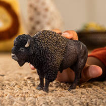 schleich WILD LIFE bizon 14879 productafbeelding 2