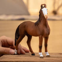 schleich HORSE CLUB Marwari merrie 14897 Main Image - 1