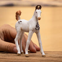 schleich HORSE CLUB Marwari veulen 14896 productafbeelding 2