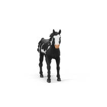 schleich HORSE CLUB Paint ruin 14900 productafbeelding 4