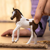 schleich HORSE CLUB Paint veulen 14899 productafbeelding 2