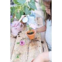 Little Dutch Fairy Garden emmer productafbeelding 3