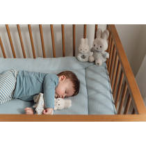 nijntje x Little Dutch Lucky Leaves cadeauset productafbeelding 9