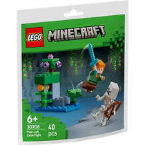 LEGO Minecraft duel bij de weelderige grot 30705