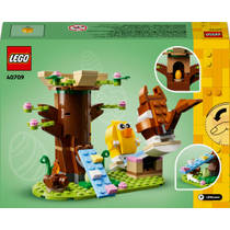 LEGO dierenspeeltuin in de lente 40709 productafbeelding 7